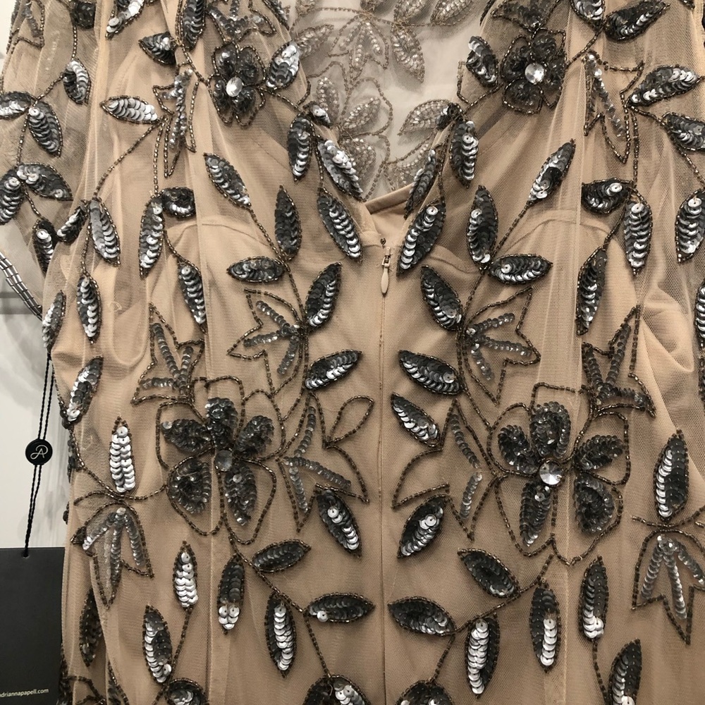 Adrianna Papell Embellished black tie Dress in Blush and Silver - Picture 5 of 6